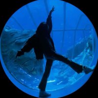 Moon ₊˚ʚ ᗢ₊˚✧ ﾟ. ☆