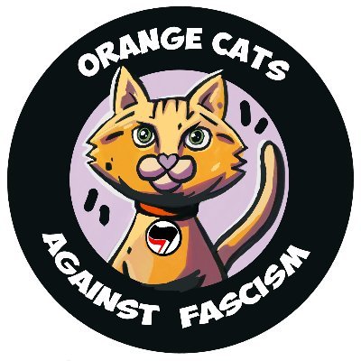 tempête de chᗩts 🏴