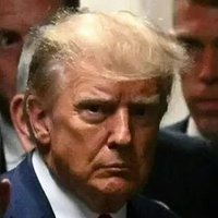 Donald J. Trumpstein fake