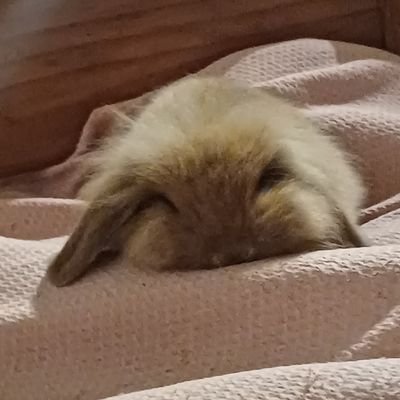 idk what to do without you