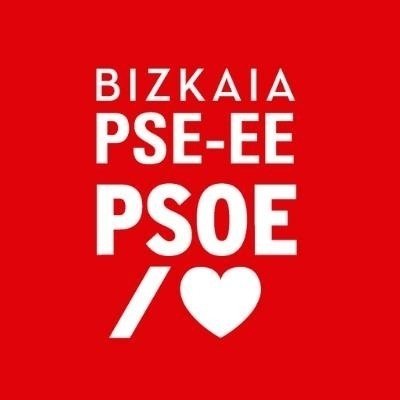 PSE-EE BIZKAIA