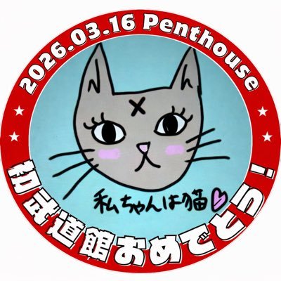 私ちゃんは猫たぬき🐈七海はる