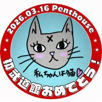 私ちゃんは猫たぬき🐈七海はる