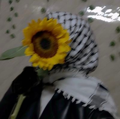 𝓟𝓪𝓻𝓪𝓬𝓮𝓽𝓪𝓶𝓸𝓵 👾🇵🇸