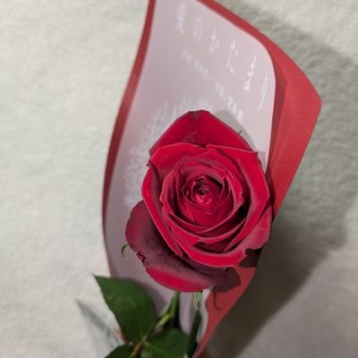 みゆ🐈‍⬛🐈‍⬛