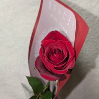 みゆ🐈‍⬛🐈‍⬛