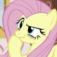 ̶g̶o̶l̶f̶o̶ Foguis