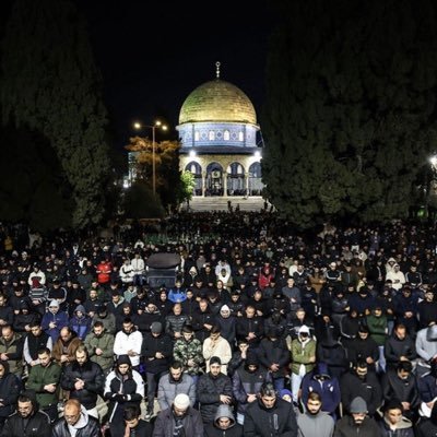 @B_dOrient 🕊️