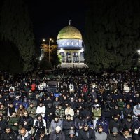 @B_dOrient 🕊️