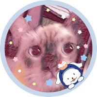 yaya_shinla(신라) 🐱+🌊=🦭