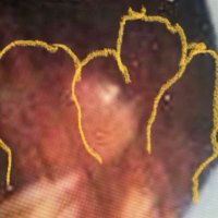 Dr. Etienne Graves Jr.