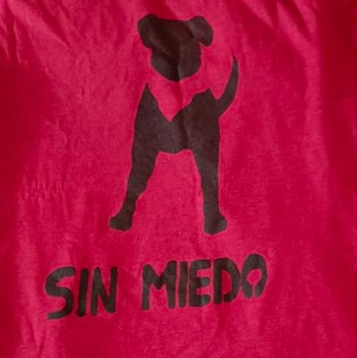 Enrique Fernandez (No tengo presidente)