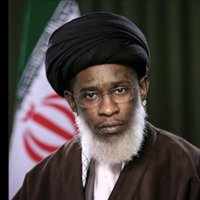 KAPÉ A NOLA 🇭🇹🐊