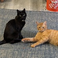 MissusLoki: Fishing widow