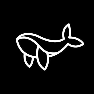 Prof. Ayse Beier MBA.