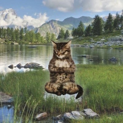 vaginalmente imponente