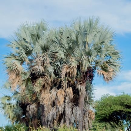 @Rainmedia🇳🇦🇦🇴🇿🇦