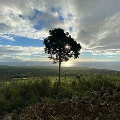 SeattleSportsFan_TrumpHater