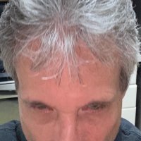 Just Another Pure 🩸!. 🇯🇵 🇺🇸