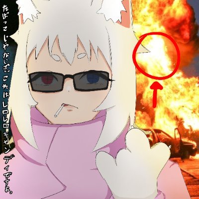 Nekuba Neko 💤 Live2D