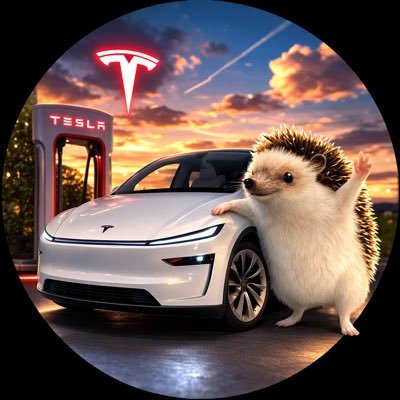 けんてす@モデルY VIN待ち