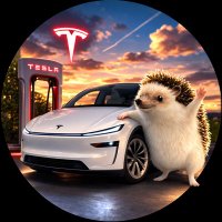 けんてす@モデルY VIN待ち