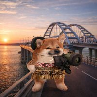 TeinaPosts. 🇪🇺