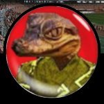 黄ゆかたワニ：通称【ワニさん】🐊