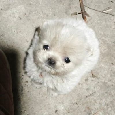 ที.ชน์.🐾🌵