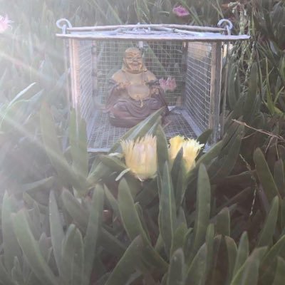 Gregory J O'Flaherty 💧💦