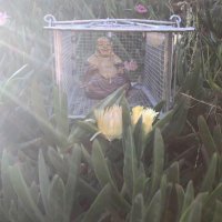 Gregory J O'Flaherty 💧💦