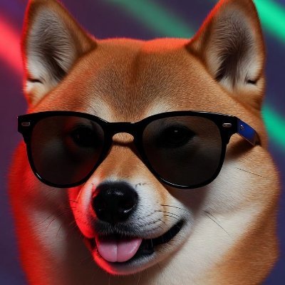 BoogieShiba