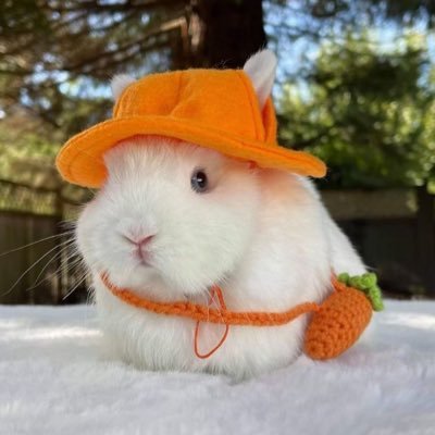 핑 ปื้ด🩰(🕰️,🍻)