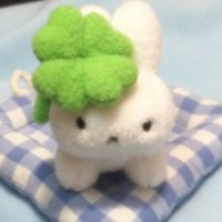 ติ่งให้เช่า สาขา 3 เช่า S25Ultra X300Pro 17ProMax