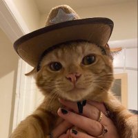 charlatan Ⓥ ♀✧ ˚ · .