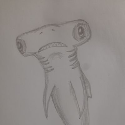 Cellophane🎗Cephalofoil