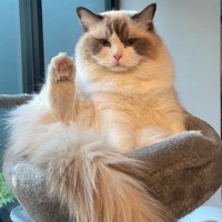 Long Showers _Noo_Ame_Brightvc ☮️🤍☀️🎵