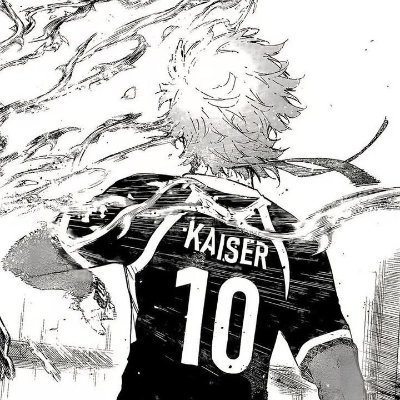 shady michael kaiser facts