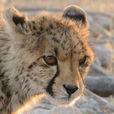 Ateu não praticante🧉🇪🇸💍