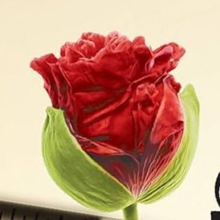 Mszumek🌱🇵🇸🇺🇦