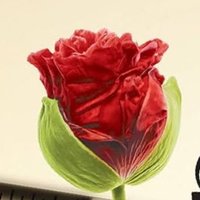 Mszumek🌱🇵🇸🇺🇦