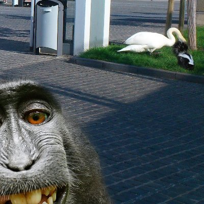 Lulu (The Skunk @ Skunk Radio Live)