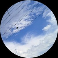 Geometry-BIM Multidimensional Lab + | Pedro