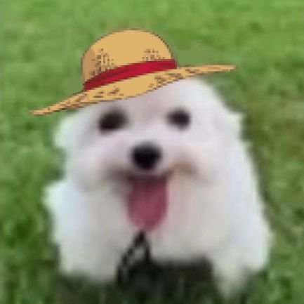 salma ; comms closed