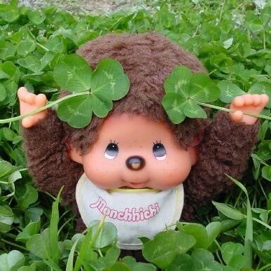 ๑๐๐% (ลดได้งับ)