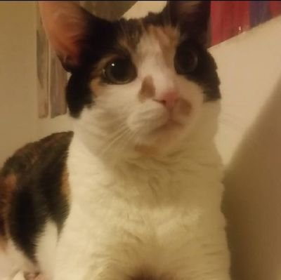 🌈 Tristan and Callie are thankful for all of you!