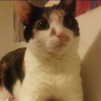 🌈 Tristan and Callie are thankful for all of you!