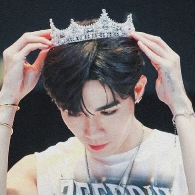 ૮αʍઽ | 🐶✈️