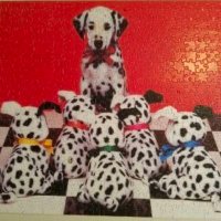 Omar of The Omar Show