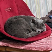 油田コス 🌏🌾🍀🌎🌱🌿🌍